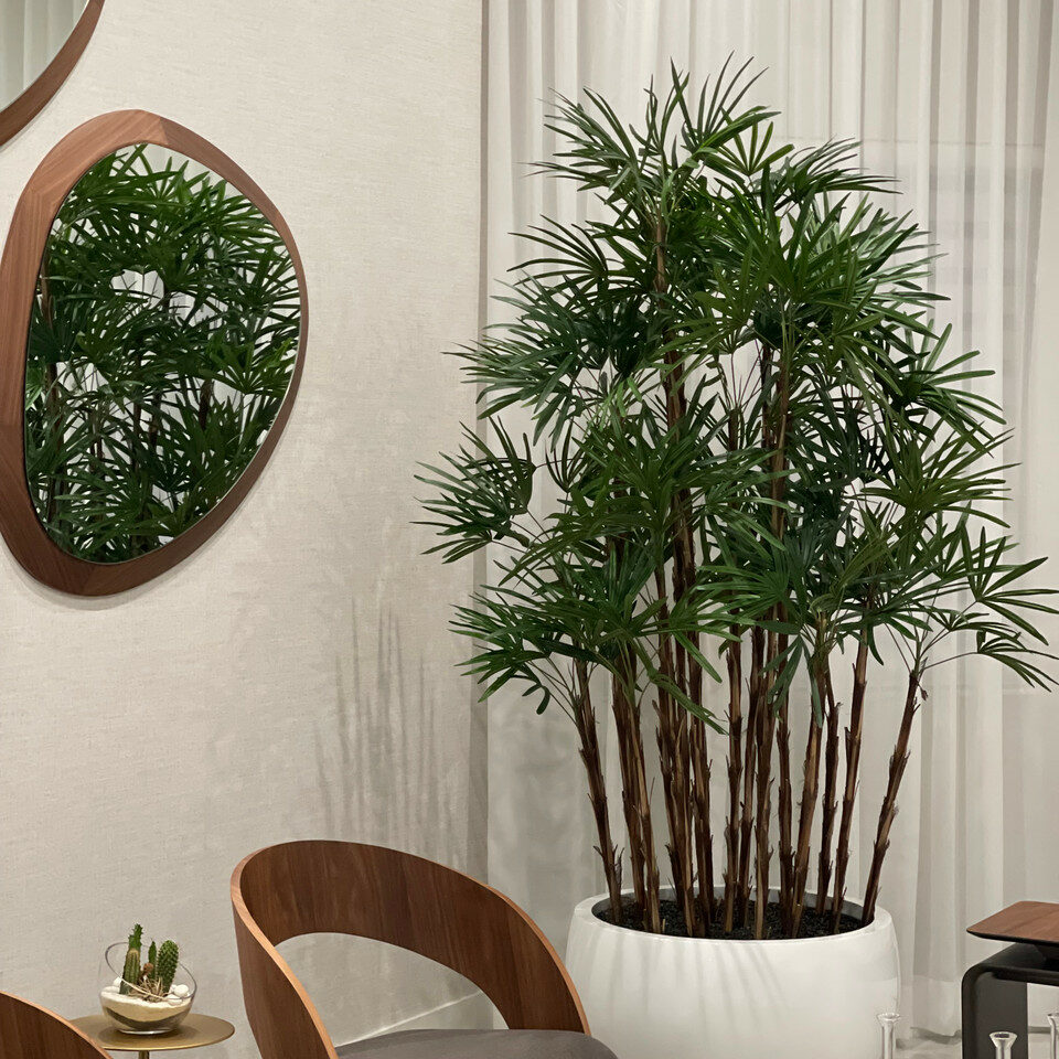 Palmier Artisanal 2,4 m en Jardinière Tarragona Blanc Brillant