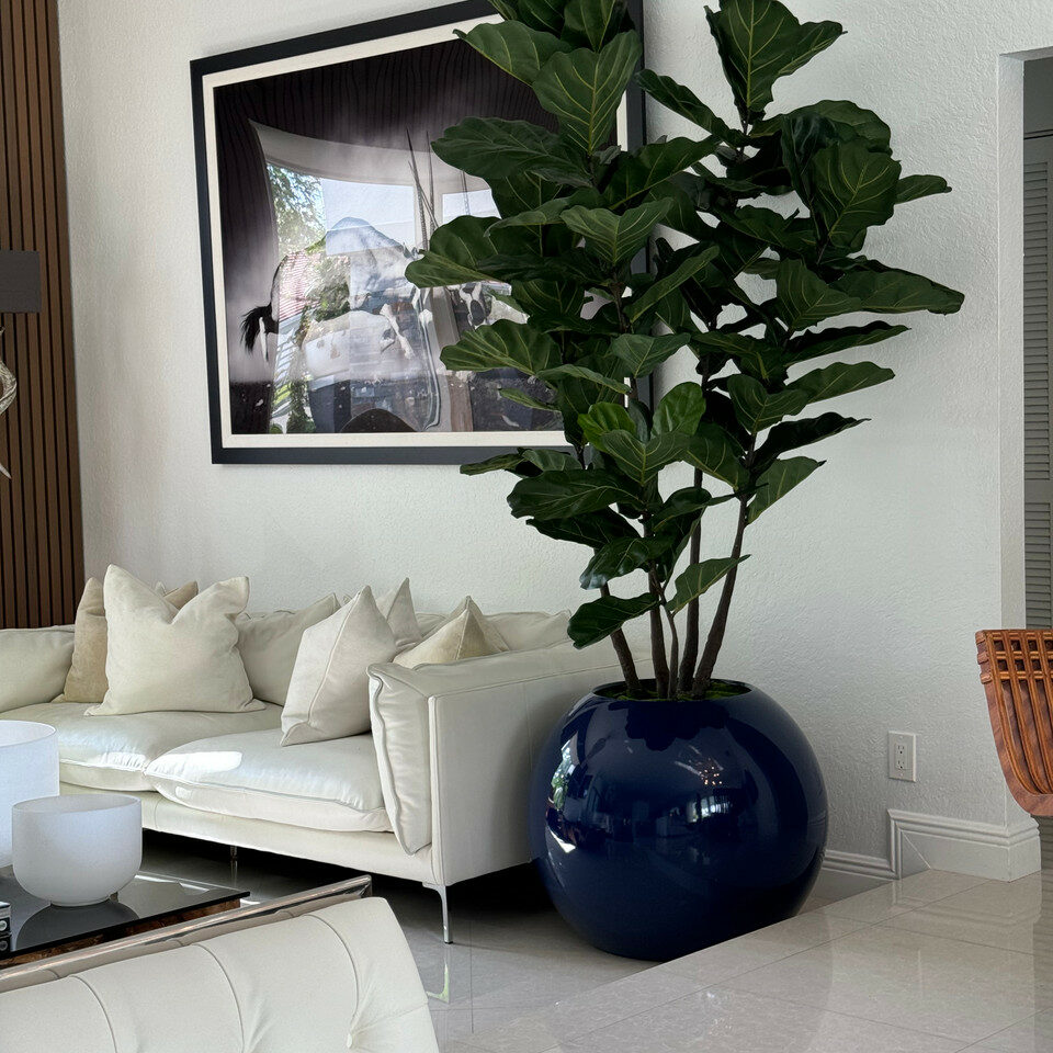 Lyre Luxuriant – Arbre Artisanal en Jardinière Globe Bleu