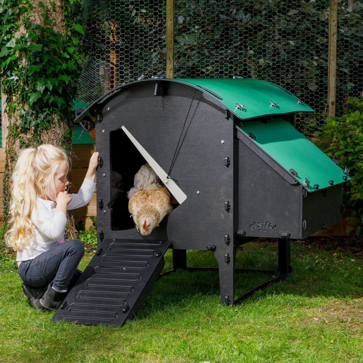 Poulailler plastique " the Lodge"