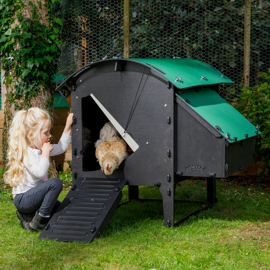 Poulailler plastique " the Lodge"