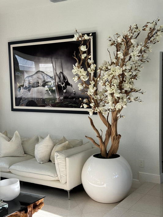Magnolia blanc dans un pot globe blanc brillant de 76 cm 1