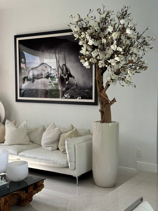 Magnolia Blanc 2,40 m – Jardinière St. Tropez Beige Brillante