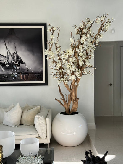 Magnolia blanc dans un pot globe blanc brillant de 76 cm 1