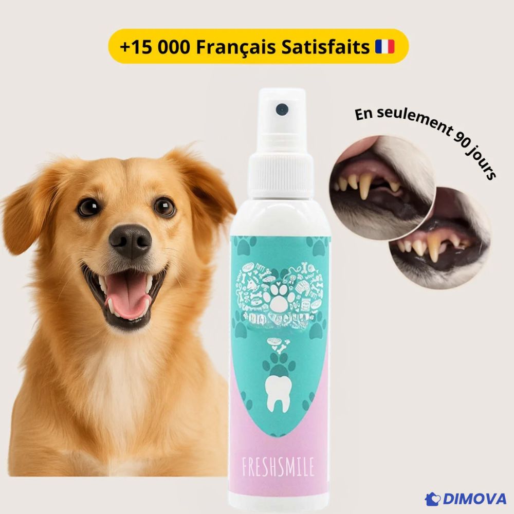 Fresh Smile™ - Spray Dentaire Anti-Tartre
