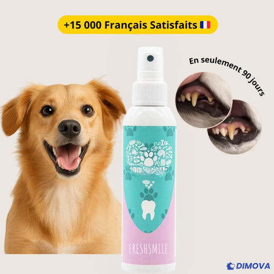 Fresh Smile™ - Spray Dentaire Anti-Tartre