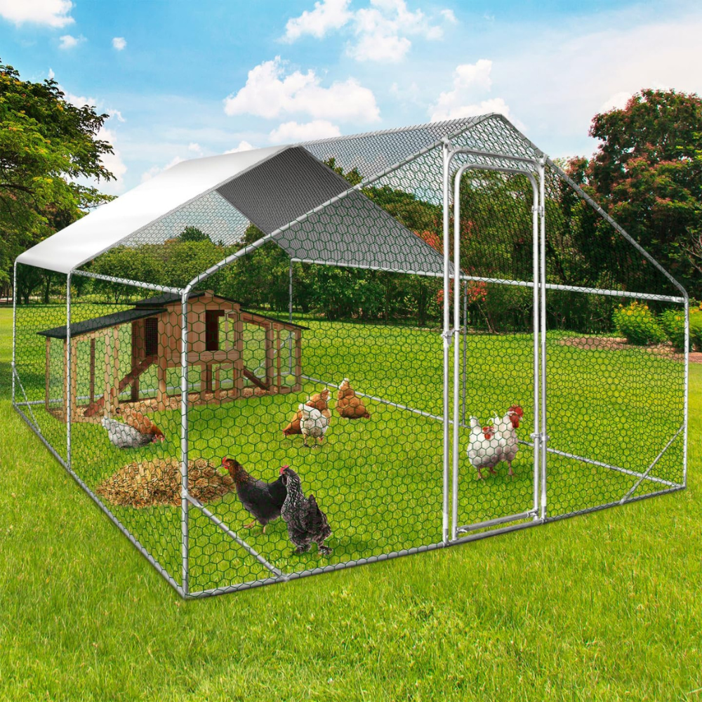 Enclos poulailler 12 m² Parc grillagé 4x3