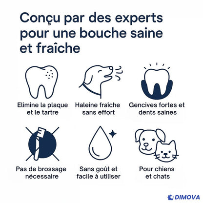 Fresh Smile™ - Spray Dentaire Anti-Tartre