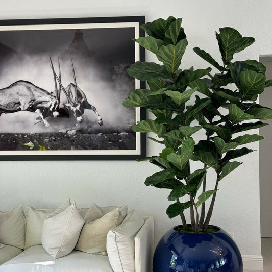 Lyre Luxuriant – Arbre Artisanal en Jardinière Globe Bleu