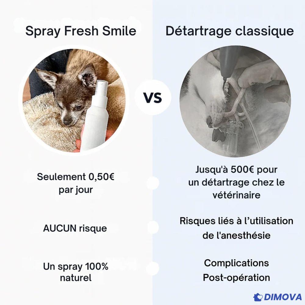 Fresh Smile™ - Spray Dentaire Anti-Tartre
