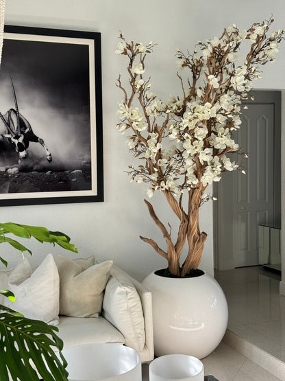 Magnolia blanc dans un pot globe blanc brillant de 76 cm 1
