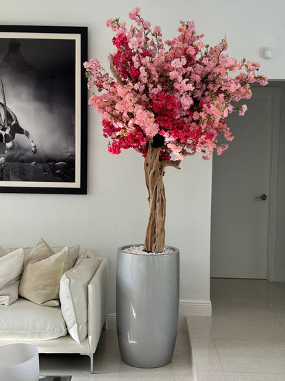 Cerisier Tricolore Rose – Arbre Artisanal 3m en Cache-Pot Lisbon Argenté