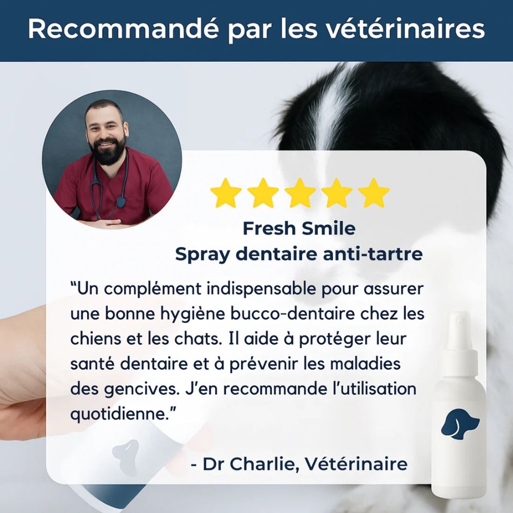 Fresh Smile™ - Spray Dentaire Anti-Tartre
