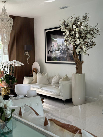Magnolia Blanc 2,40 m – Jardinière St. Tropez Beige Brillante