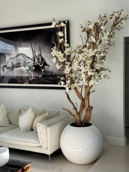 Magnolia blanc dans un pot globe blanc brillant de 76 cm 1