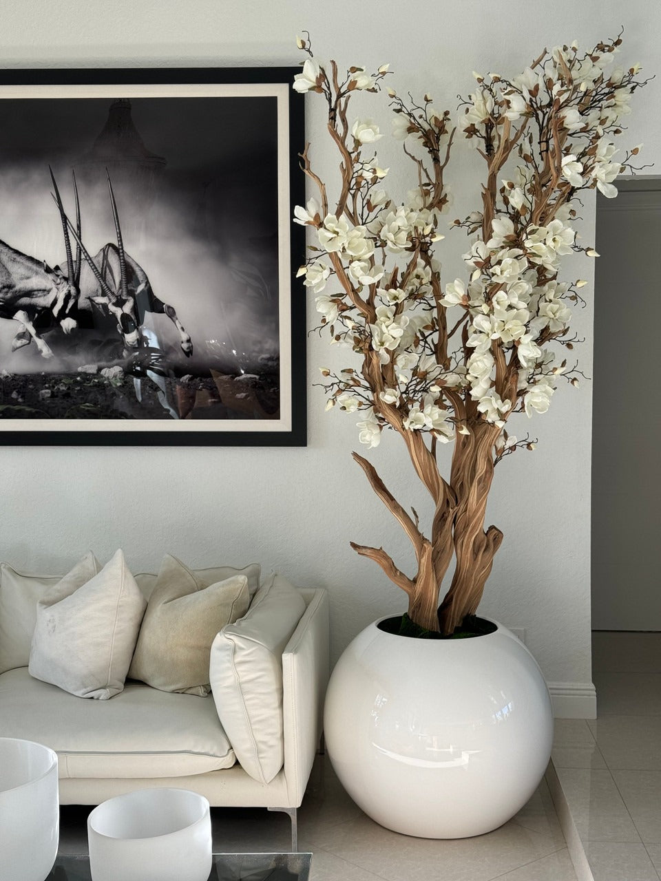 Magnolia blanc dans un pot globe blanc brillant de 76 cm 1