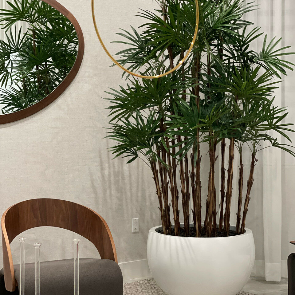 Palmier Artisanal 2,4 m en Jardinière Tarragona Blanc Brillant