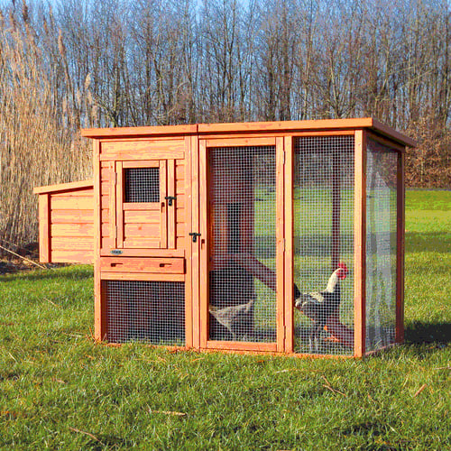 Poulailler avec enclos extérieur - 2 poules - 170 cm